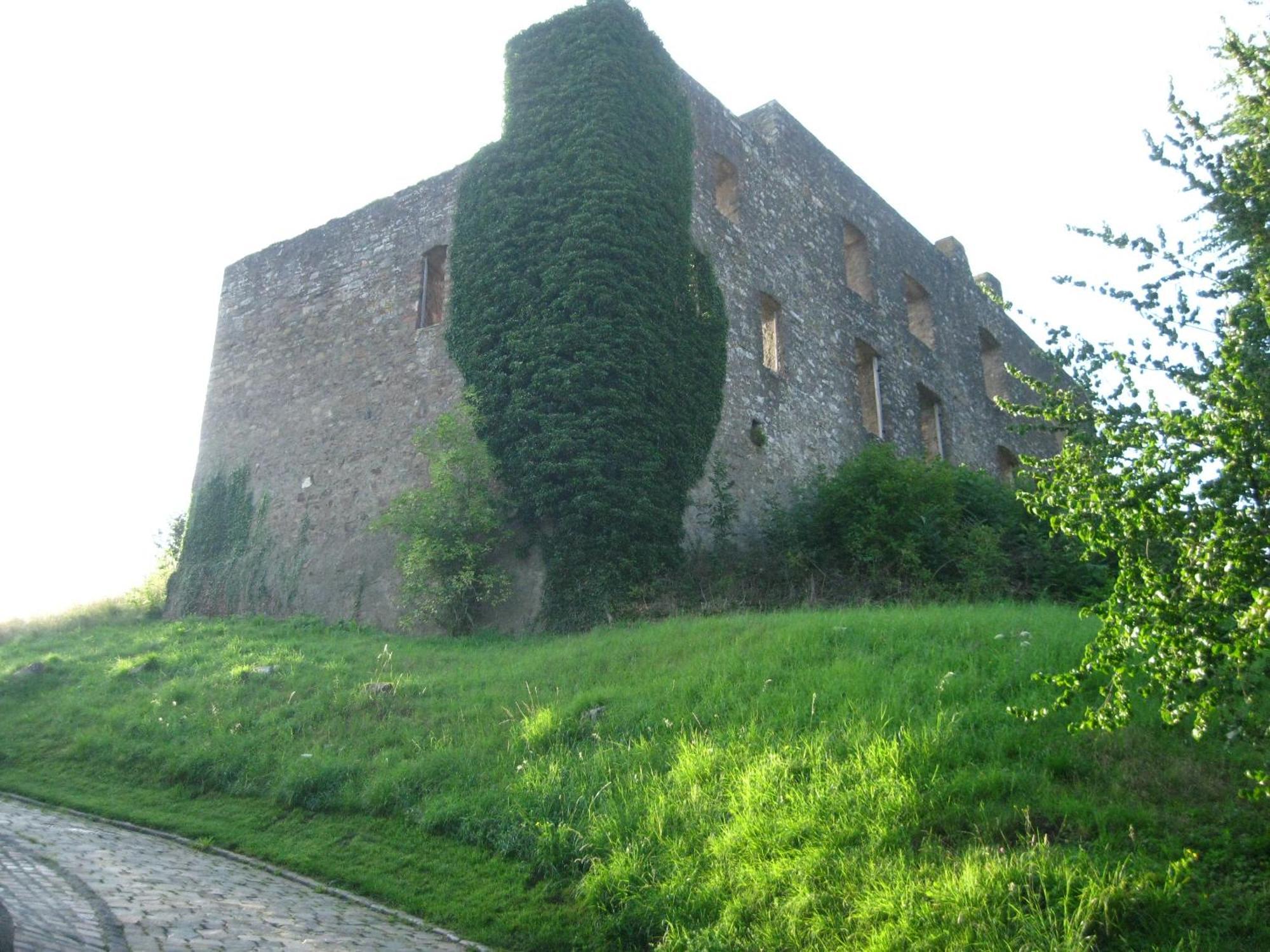 Ritterstube - Eifelstuben Mit Charme, Naehe See Und Burg, Aussergewoehnlich, Vulkaneifel Ulmen Exterior photo